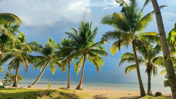Machines à sous sur le thème des explorateurs des îles lointaines sur Betify Casino