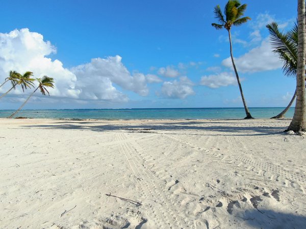 Instant Support at Britainplay: Live Chat, AI Assistants, and Fast Issue Resolution